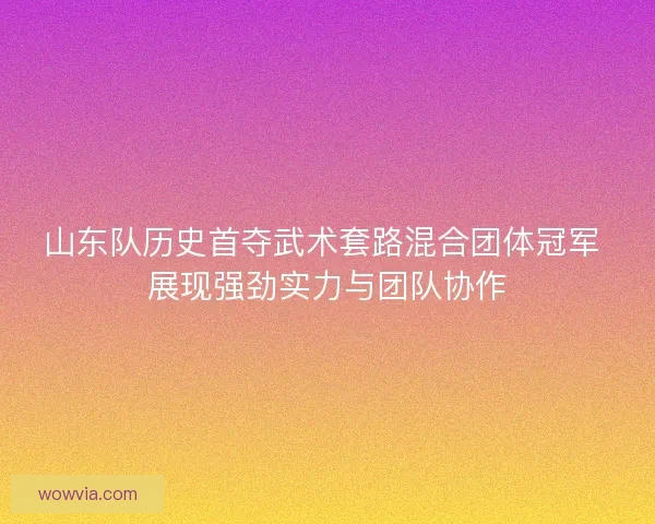 山东队历史首夺武术套路混合团体冠军 展现强劲实力与团队协作